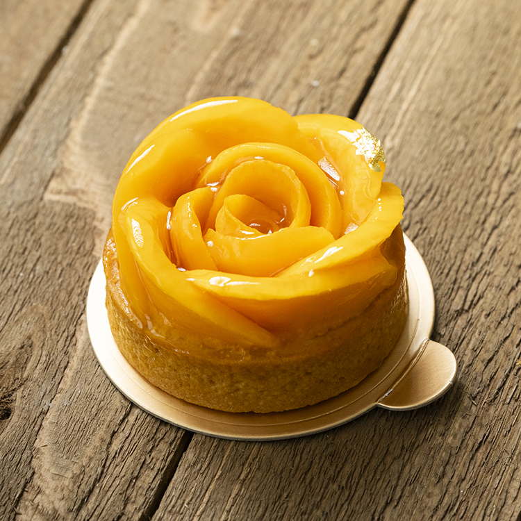 Mango Tart PTW244P