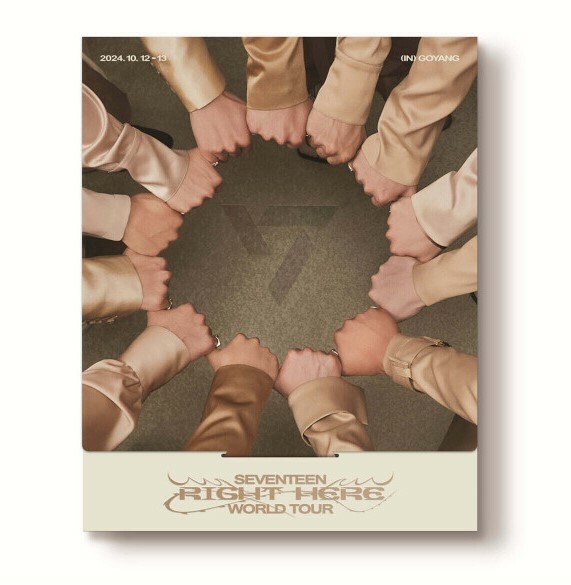SEVENTEEN RIGHT HERE WORLD TOUR フーディー s-l400.jpg
