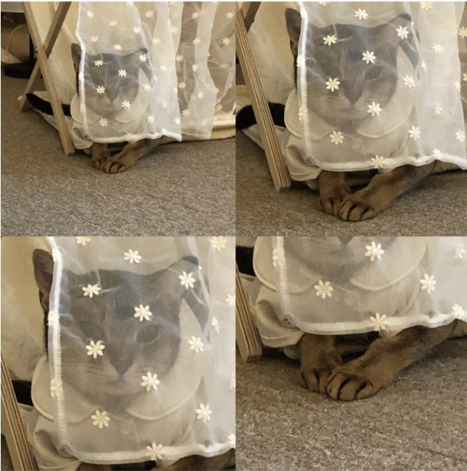 gottagohome．替換式短簾┃蕾絲小花款