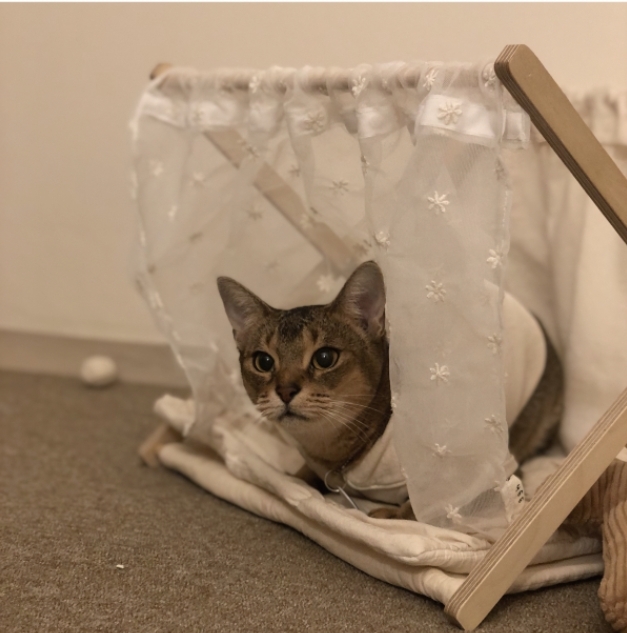 gottagohome．替換式短簾┃蕾絲小花款