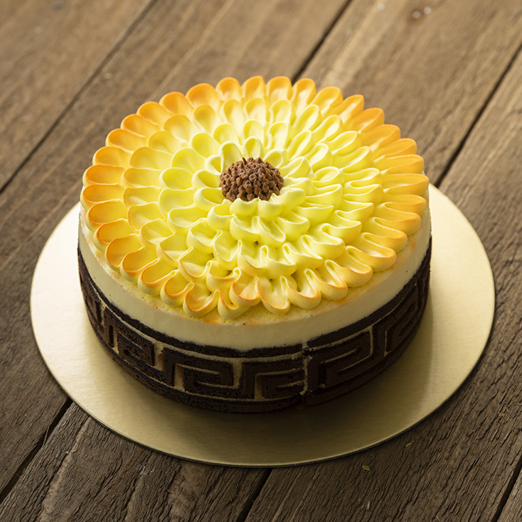 Crysanthemum Cheese  Cake PTW252L