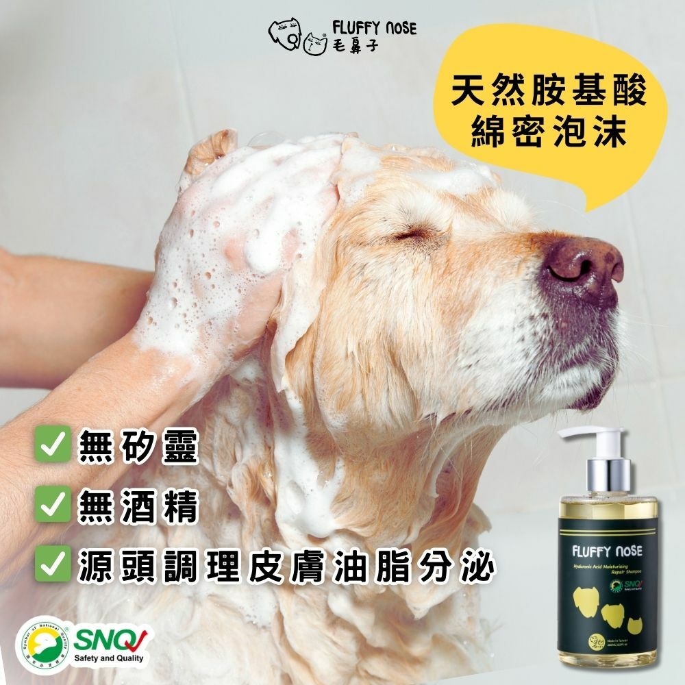 【超補水豐盈洗護組】敏弱肌溫和清潔/日常毛髮護理｜玻尿酸洗毛精＋瞬效柔亮噴霧｜快速吹乾不打結