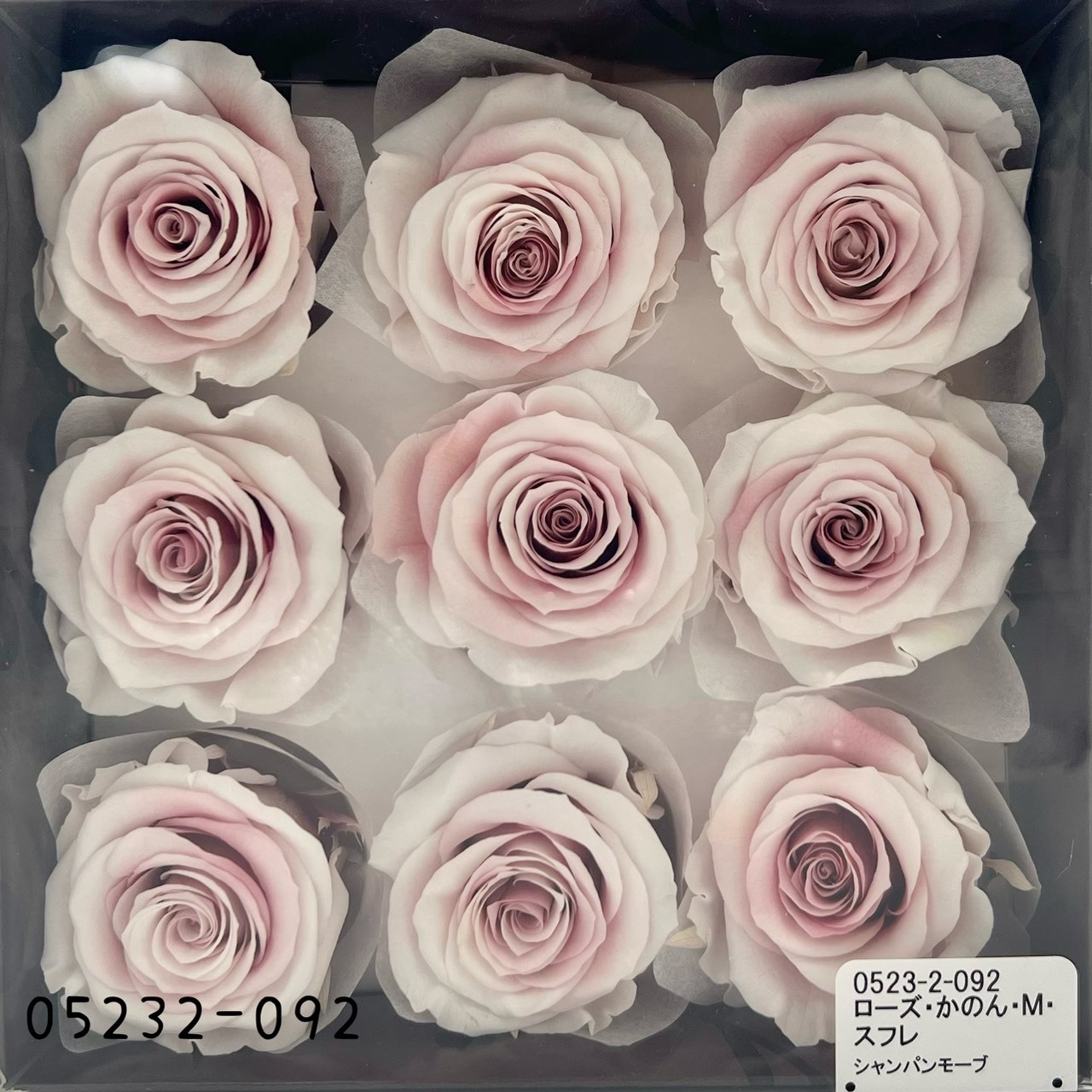 日本不凋大輪漸層玫瑰(9朵) 05232-092