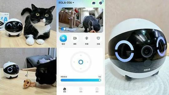 enabot, rola mini, 智慧居家攝影機, 寵物攝影機, 遠端遙控, 全家移動的寵物攝影機