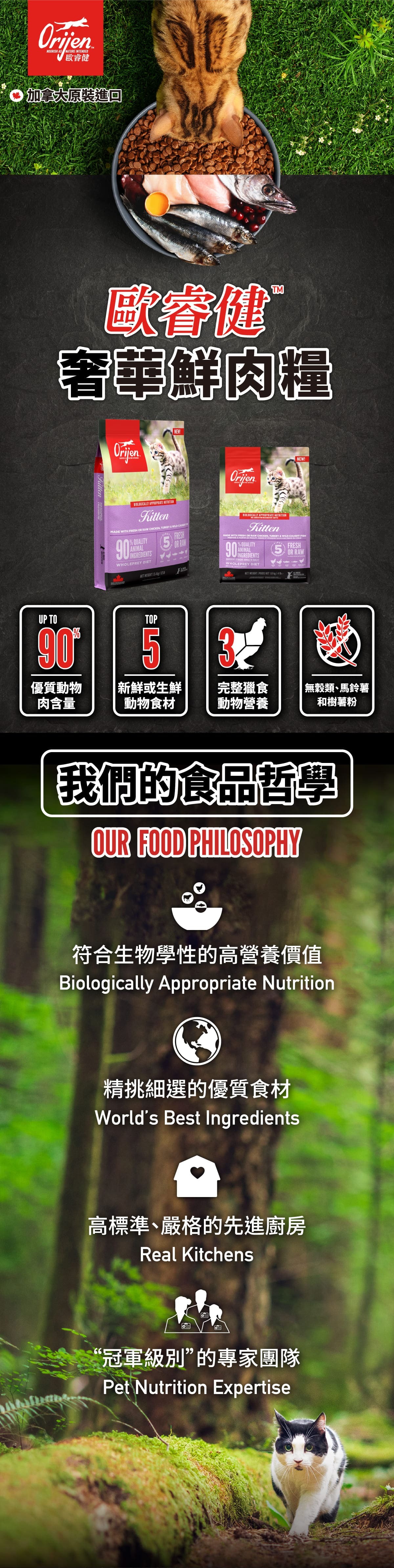 Orijen歐睿健 鮮雞幼貓 無穀鮮肉貓糧