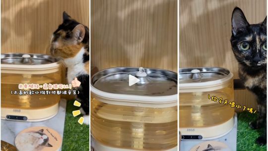 enabot, rola mini, 智慧居家攝影機, 寵物攝影機, 遠端遙控, 全家移動的寵物攝影機, rola 寵物飲水機