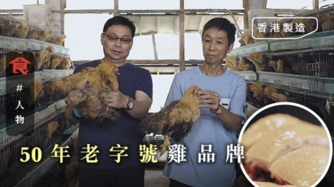 50年老字號雞品牌