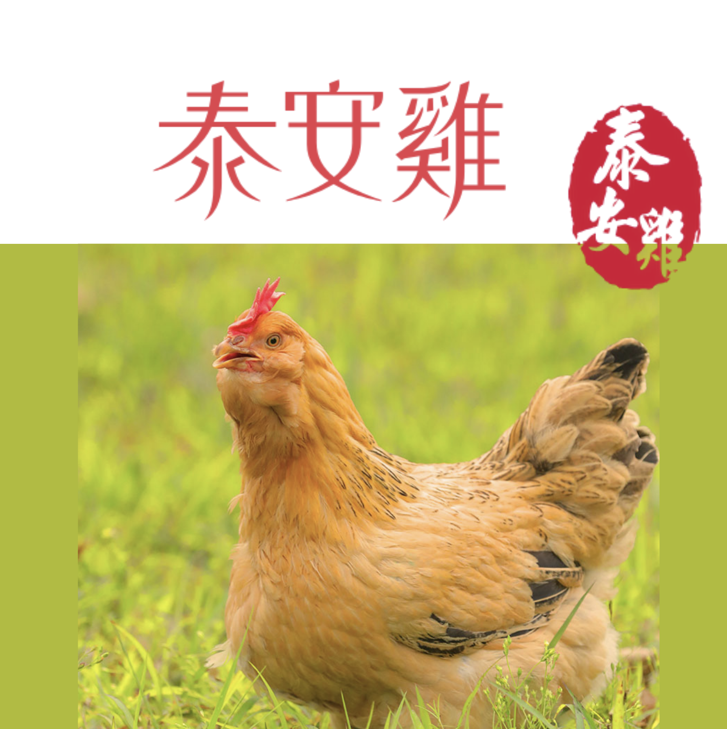 泰安雞 - 無激素 / 每隻約兩斤 連內臟 本地飼養新鮮劏 (1.2千克)