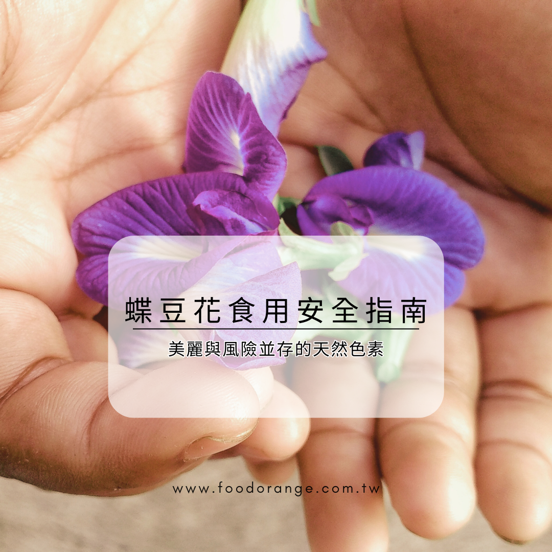 蝶豆花食用安全指南：美麗與風險並存的天然色素