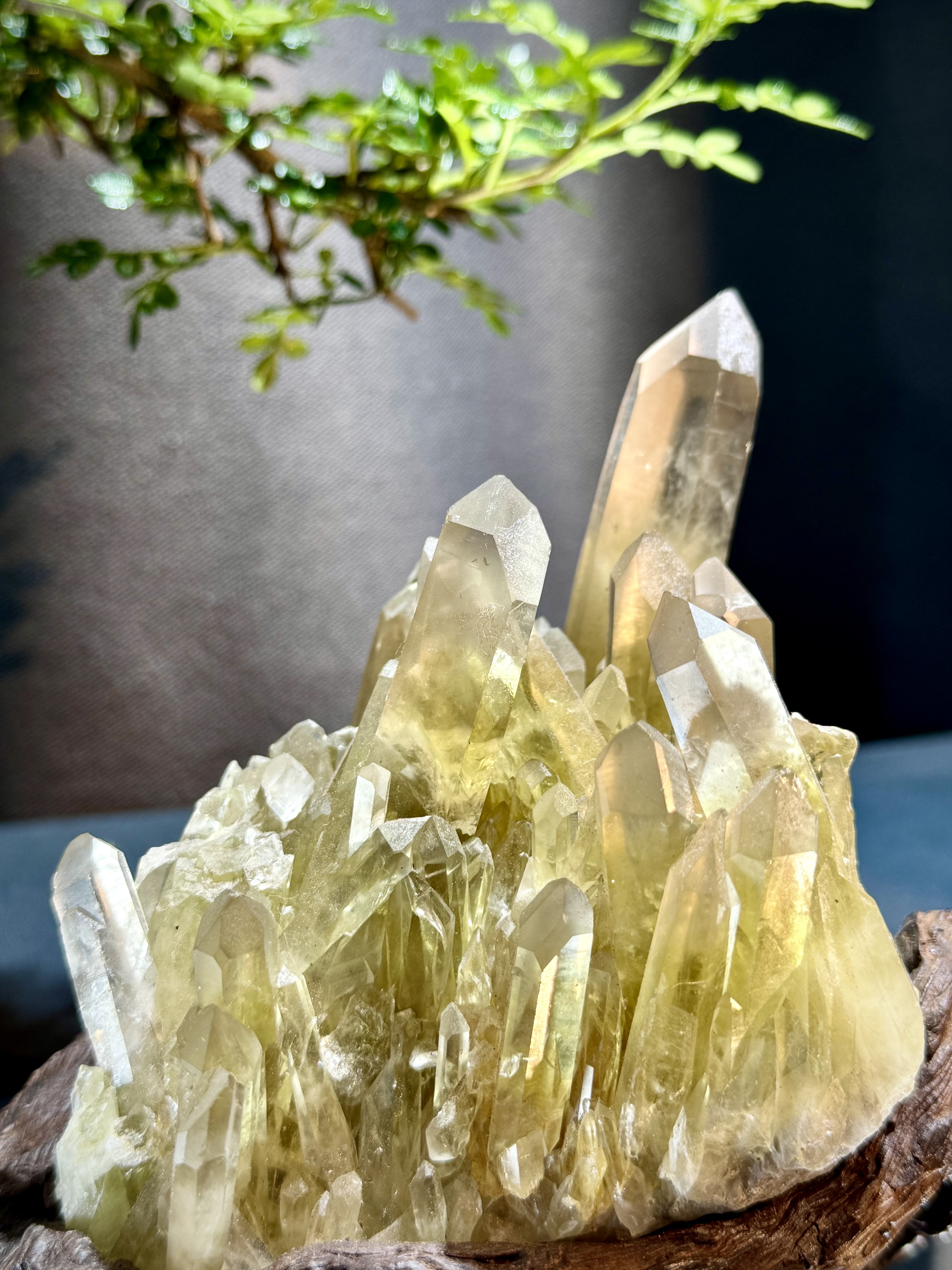 頂級招財黃水晶簇擺件 5200