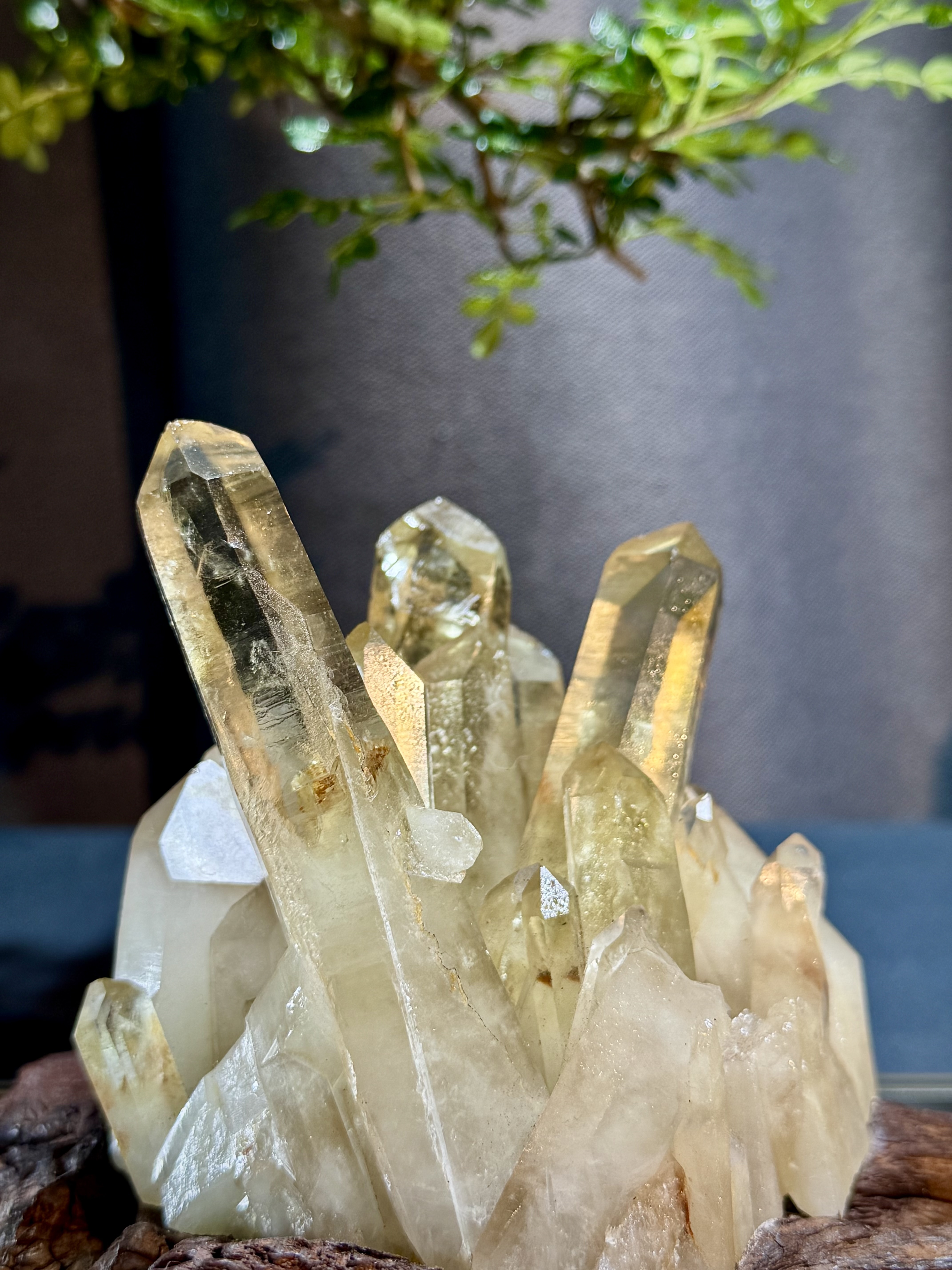 頂級招財黃水晶簇擺件 5201