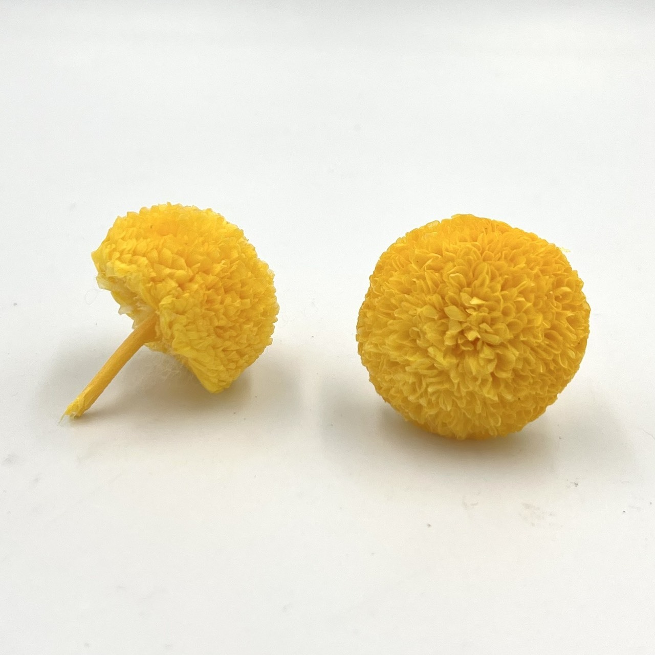 (促銷)不凋乒乓菊(9朵)