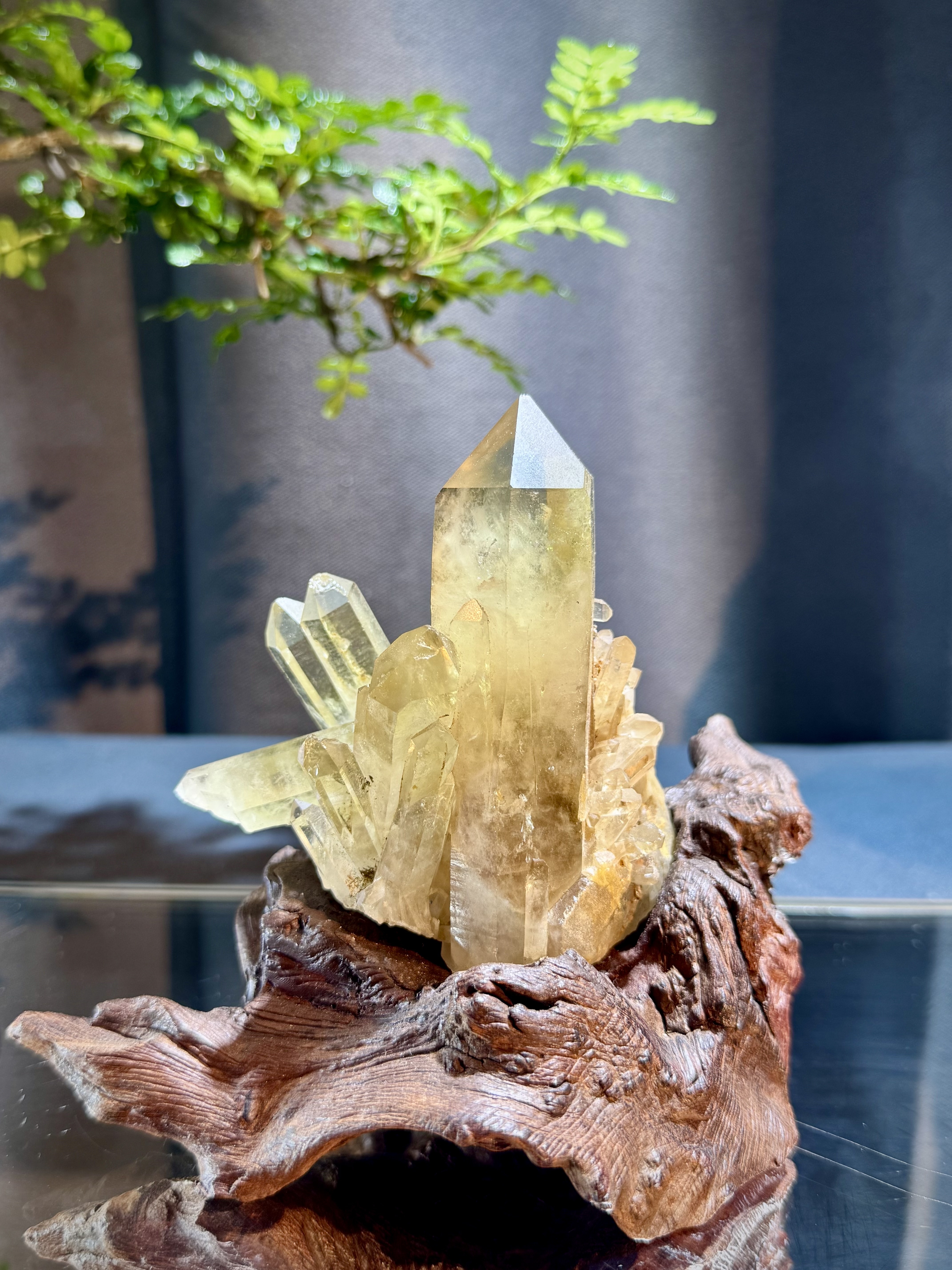 頂級招財黃水晶簇擺件 5204