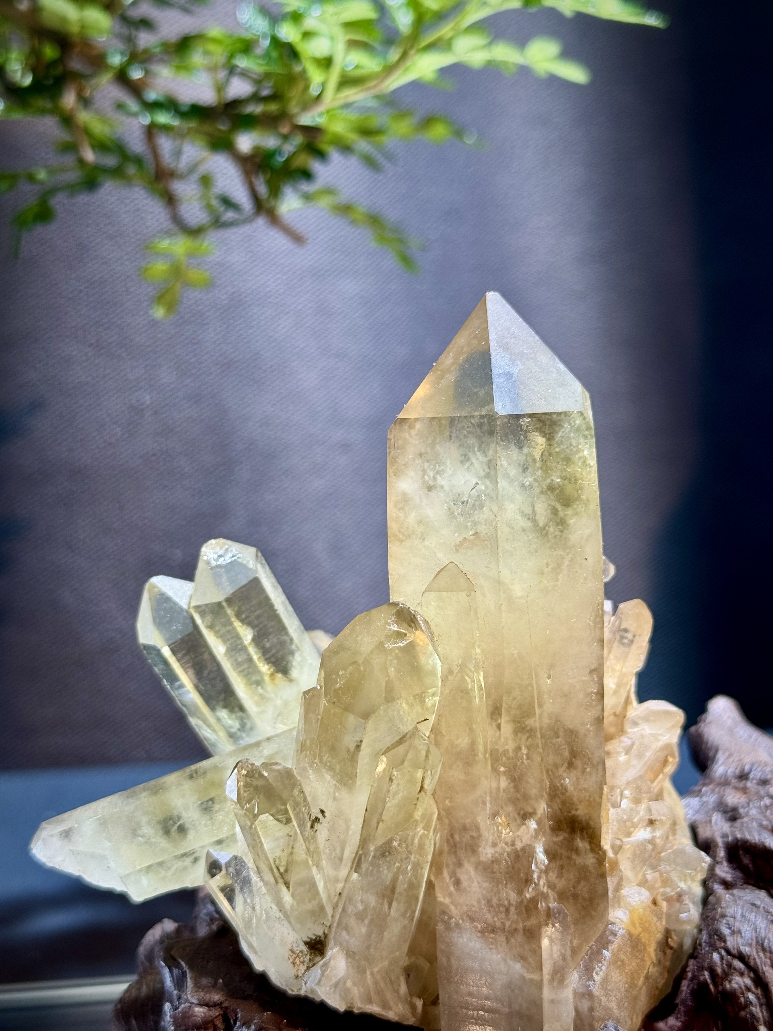 頂級招財黃水晶簇擺件 5204