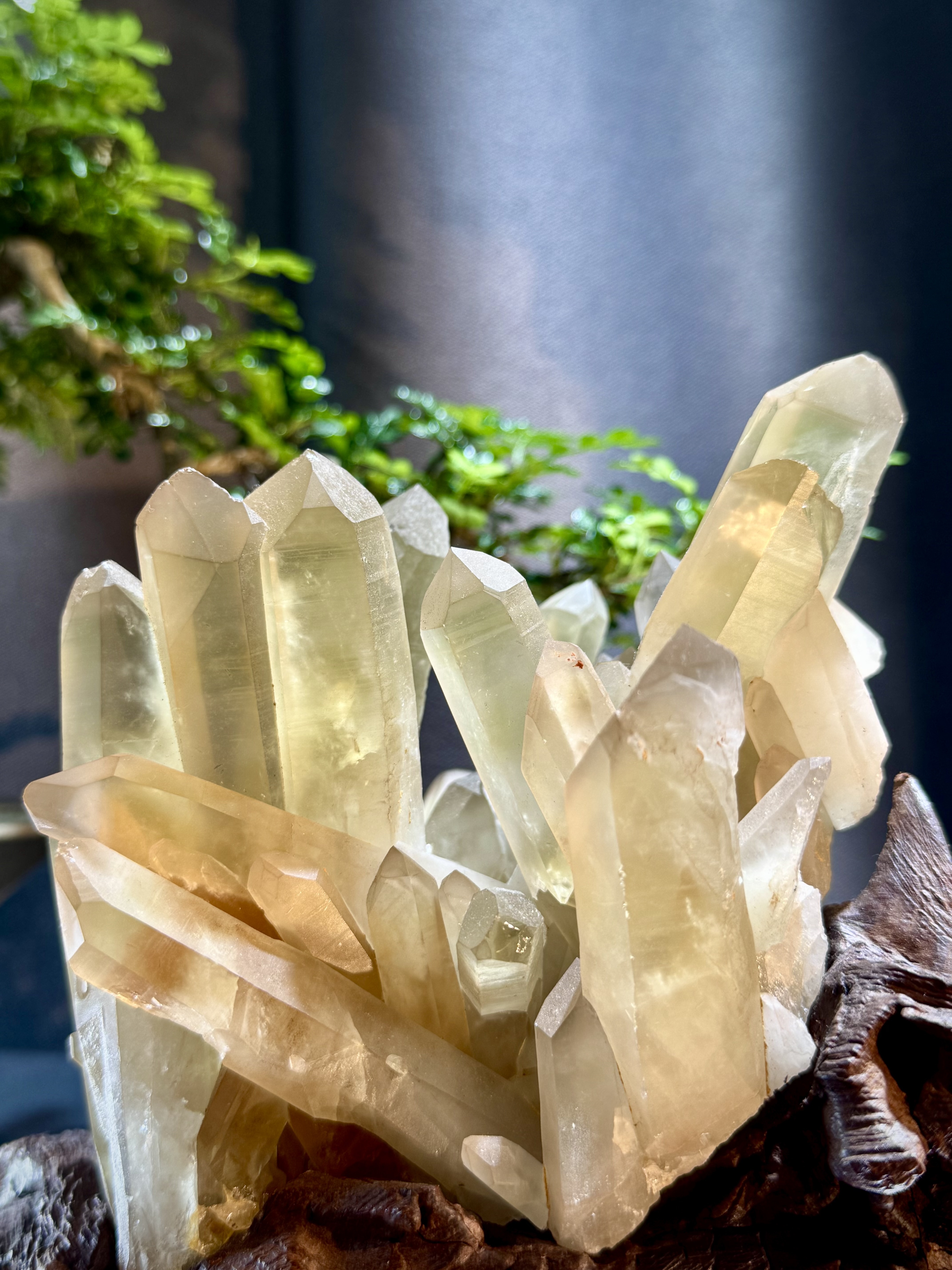 頂級招財黃水晶簇擺件 5205