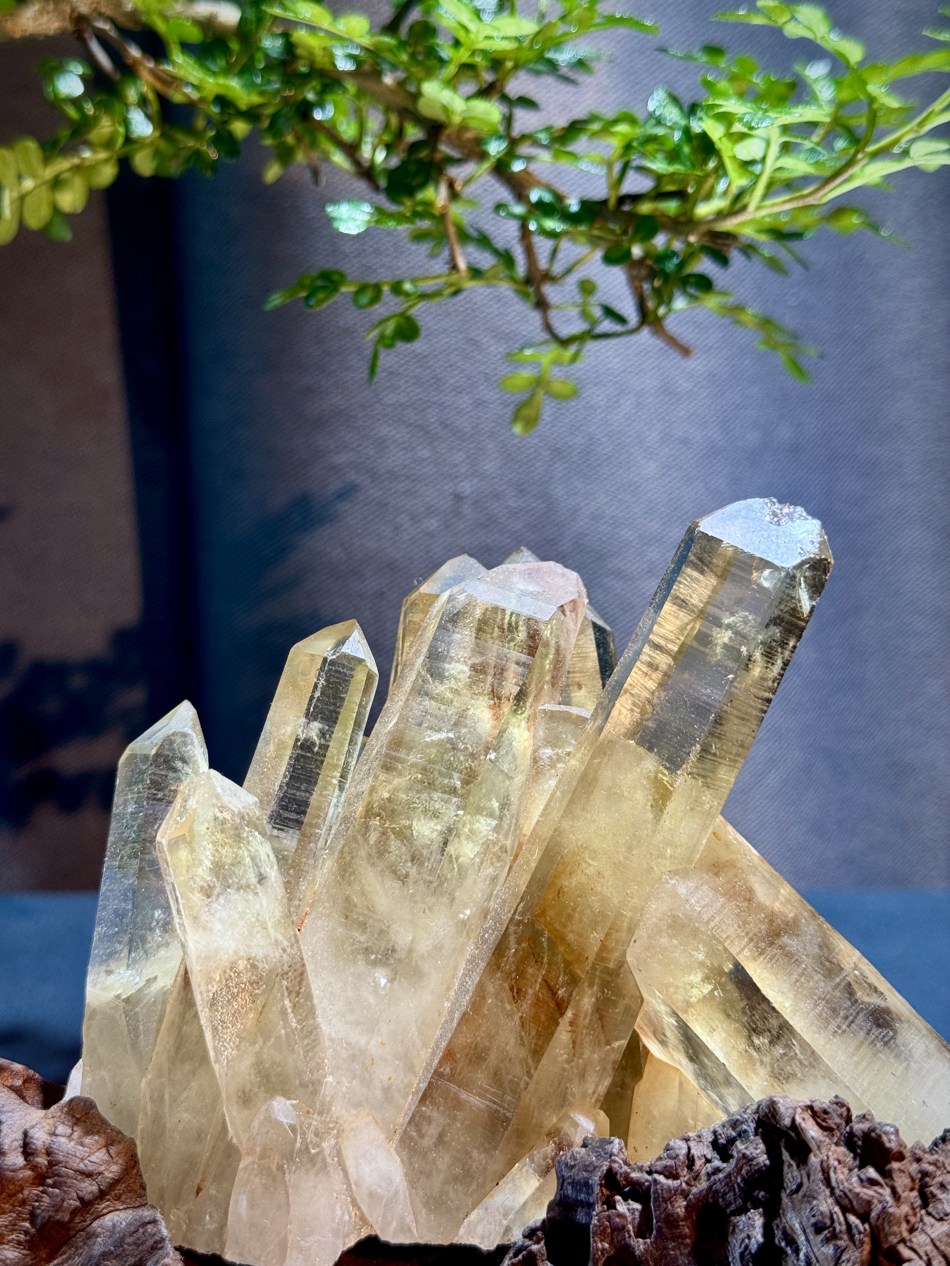 頂級招財黃水晶簇擺件 5206