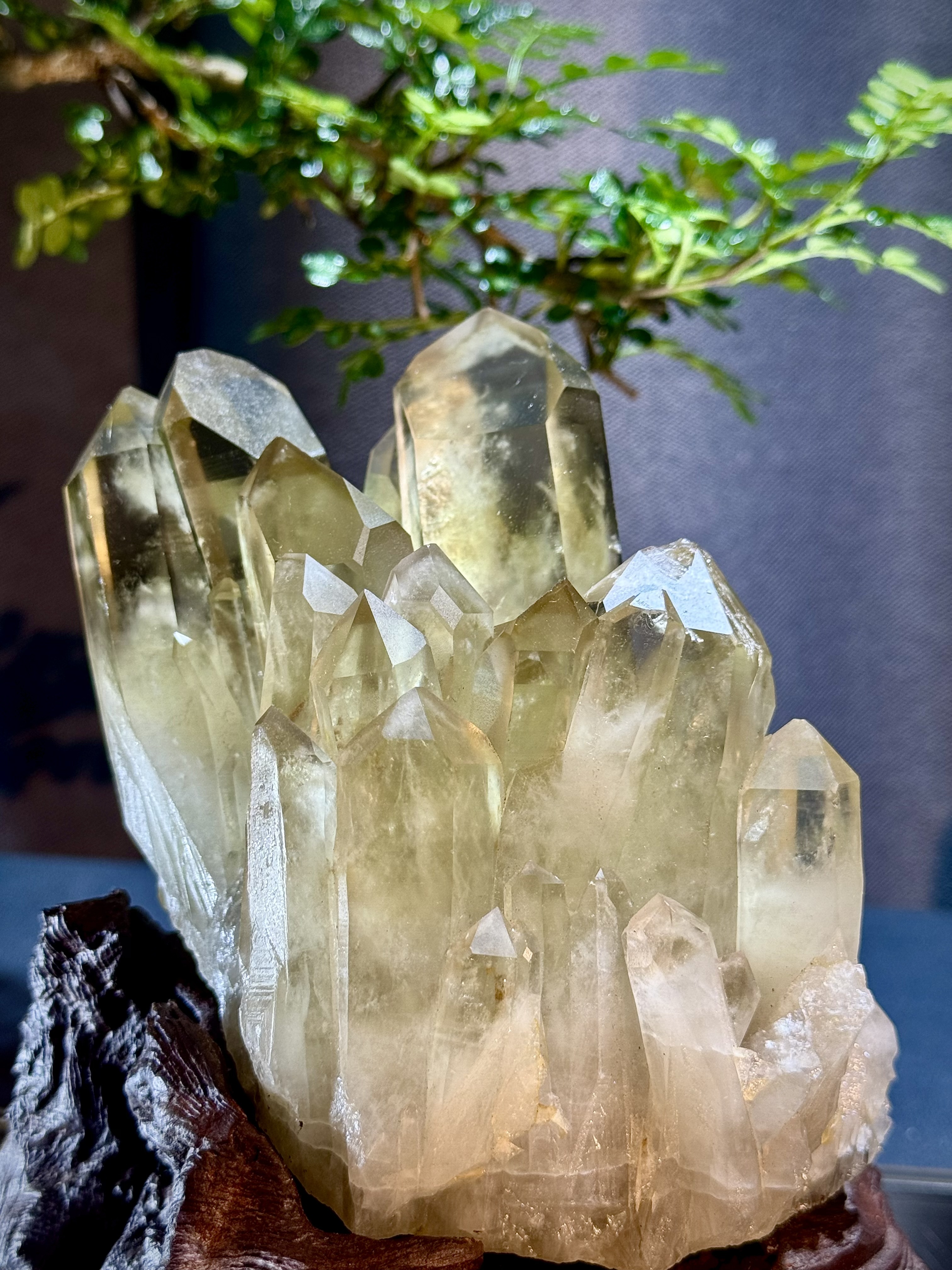 頂級招財黃水晶簇擺件 5208