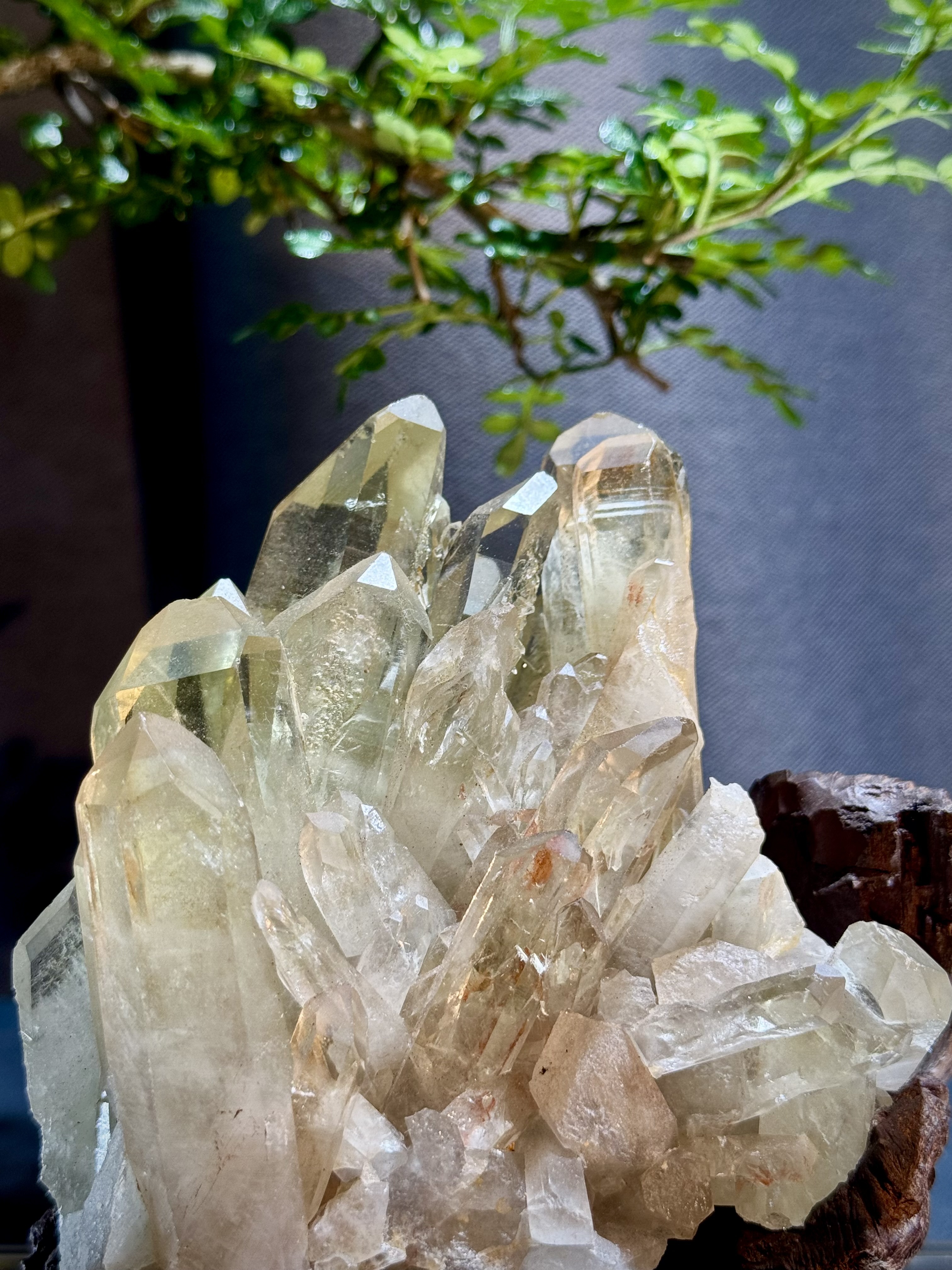 頂級招財黃水晶簇擺件 5209