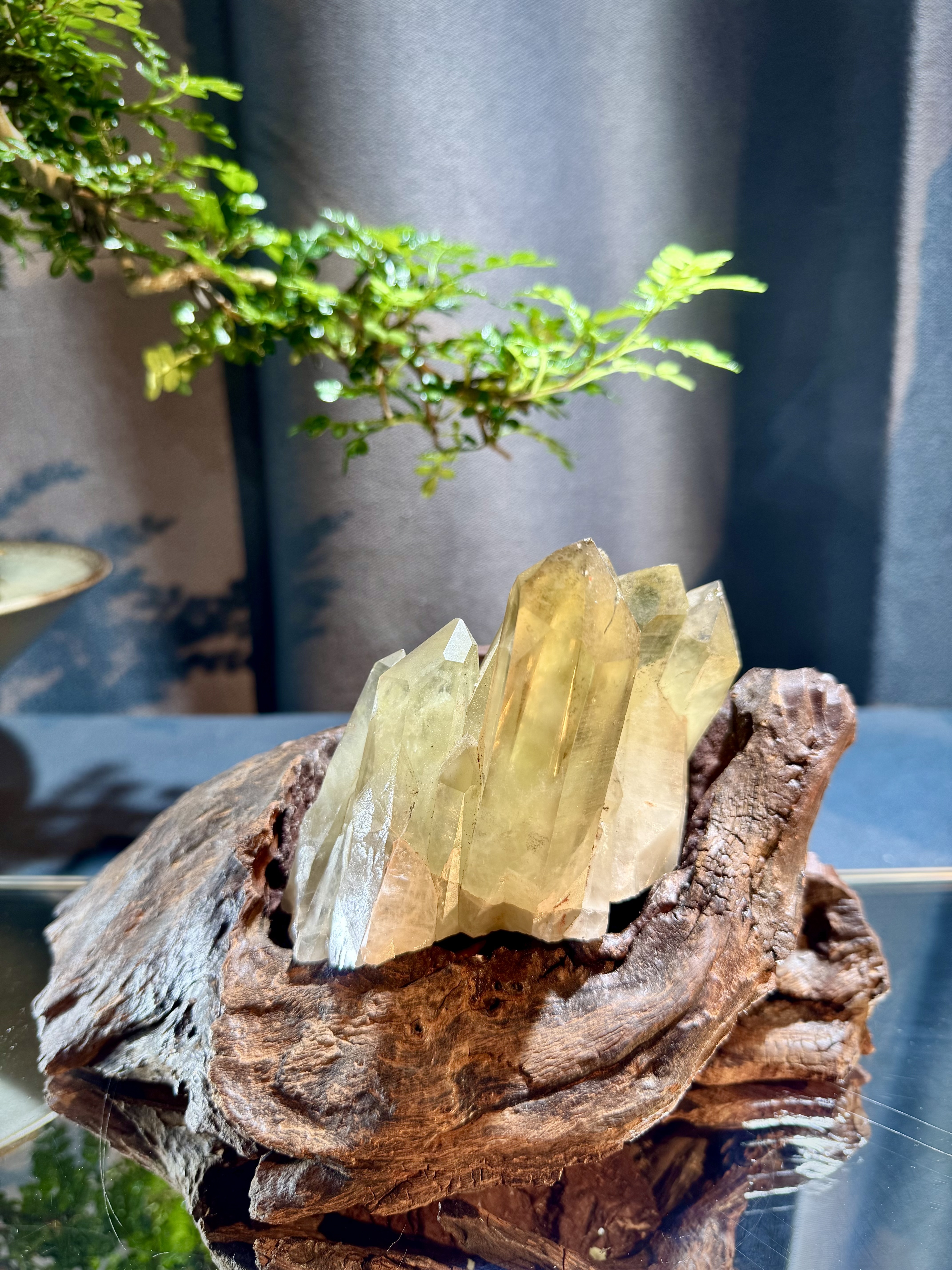 頂級招財黃水晶簇擺件 5210