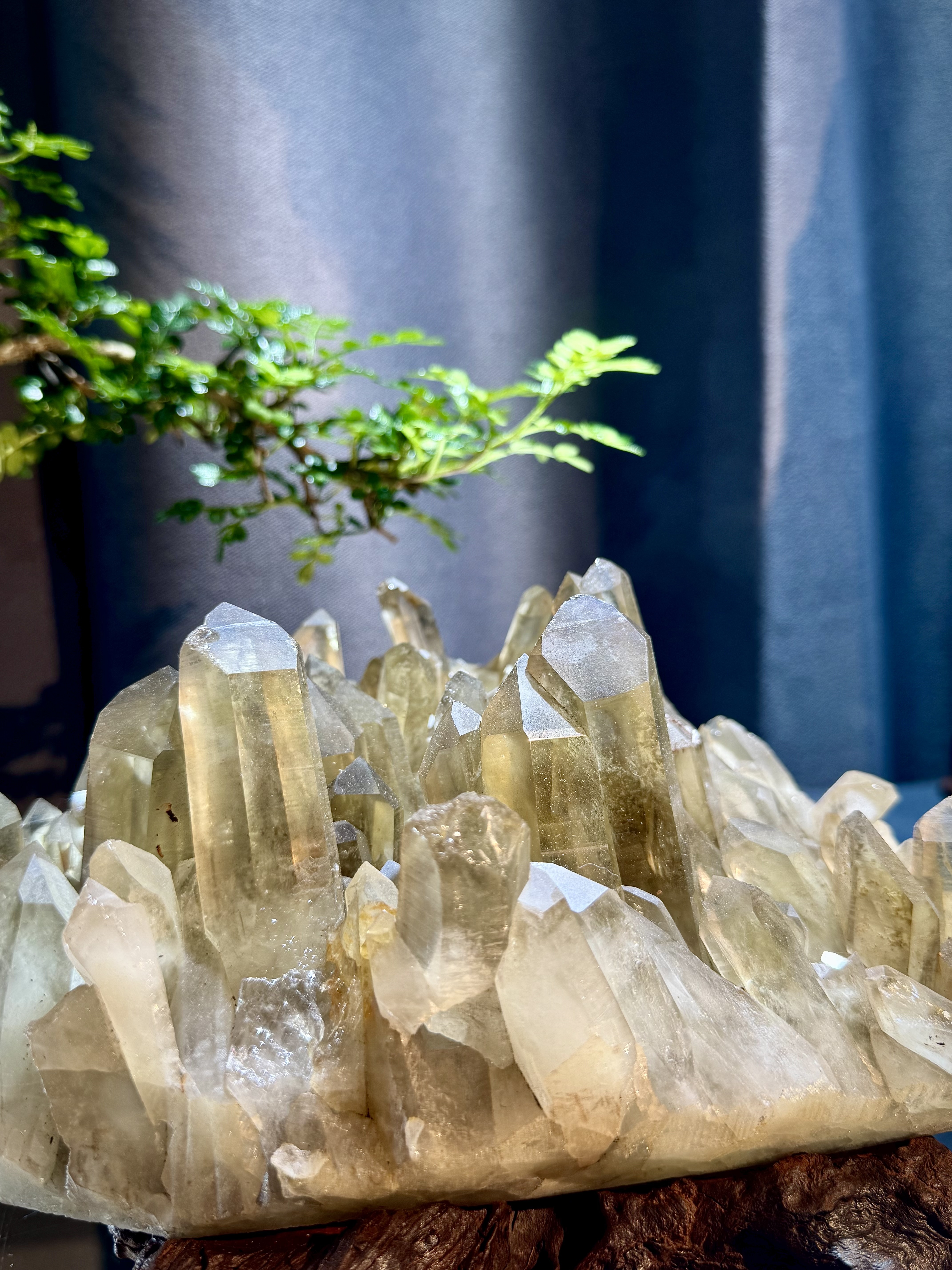 頂級招財黃水晶簇擺件 5211