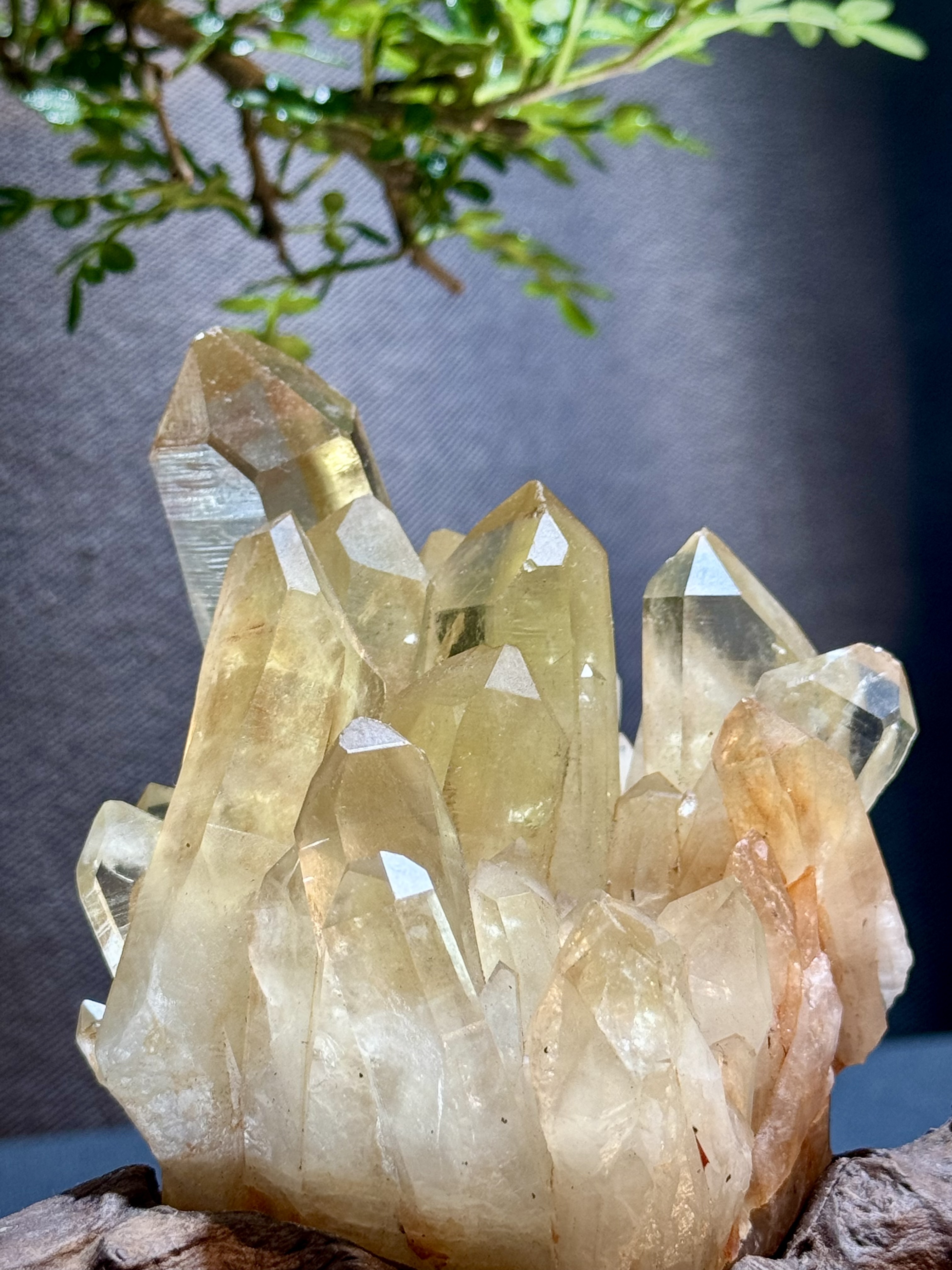 頂級招財黃水晶簇擺件 5212