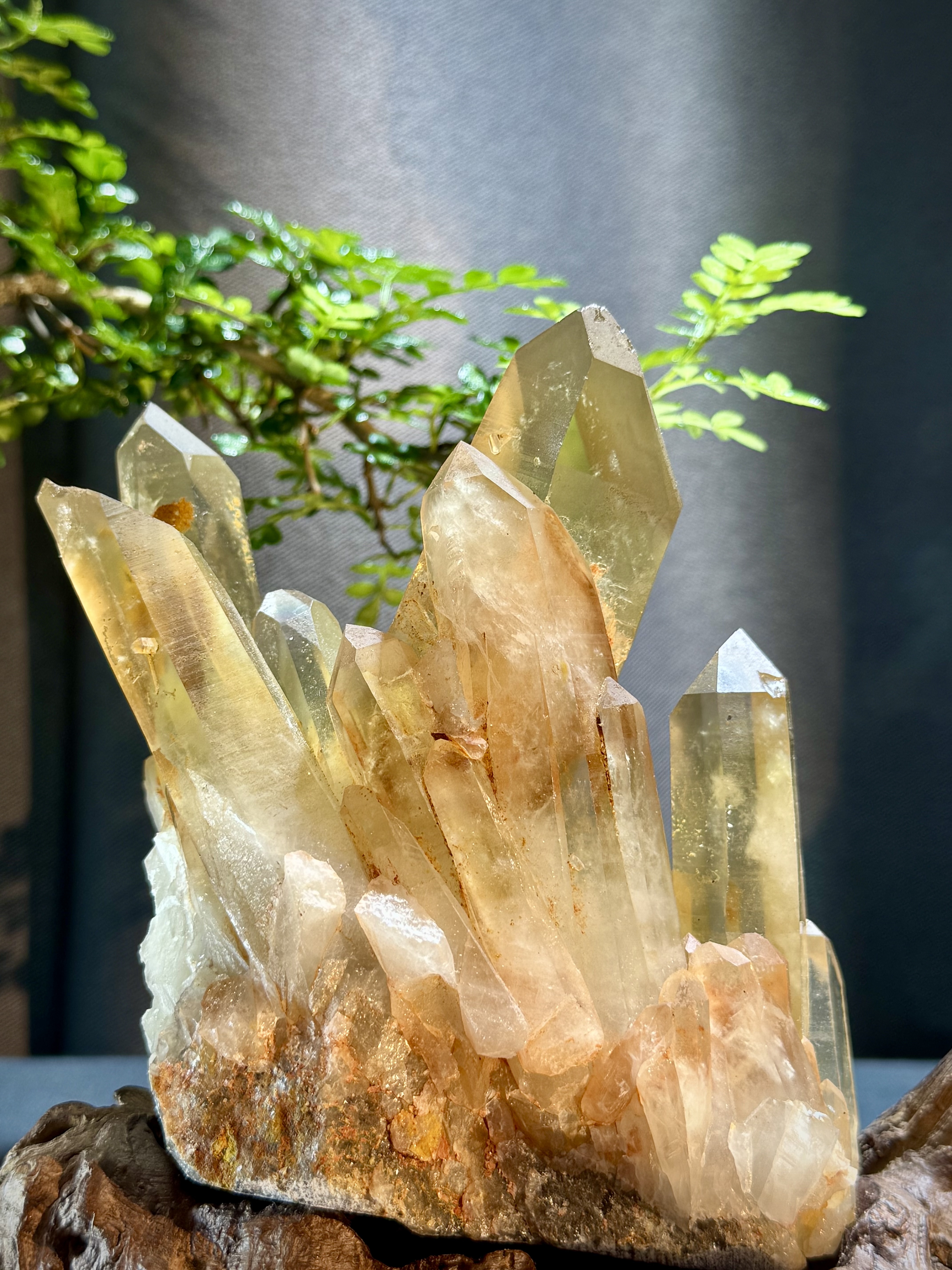 頂級招財黃水晶簇擺件 5213