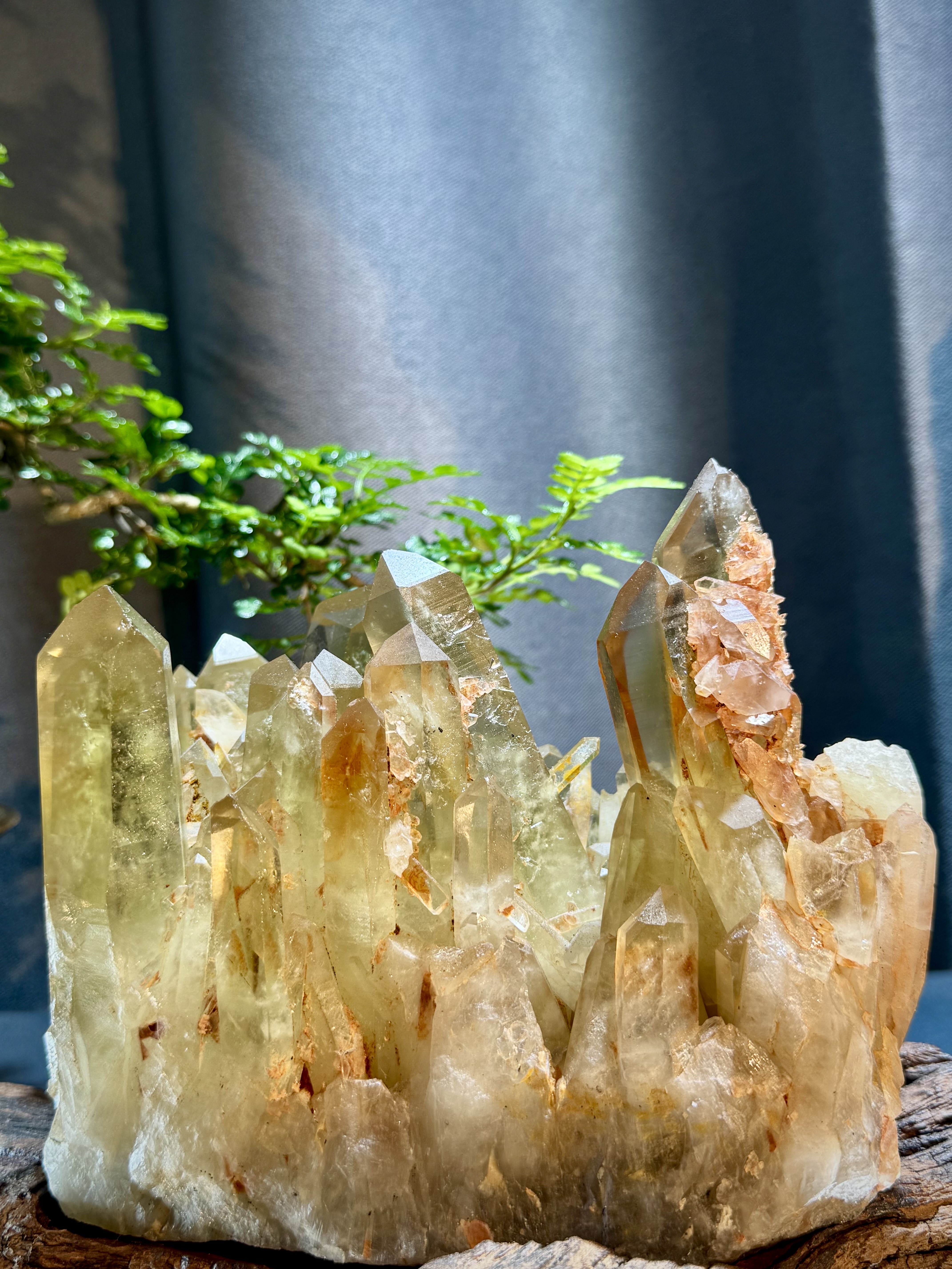 頂級招財黃水晶簇擺件 5214