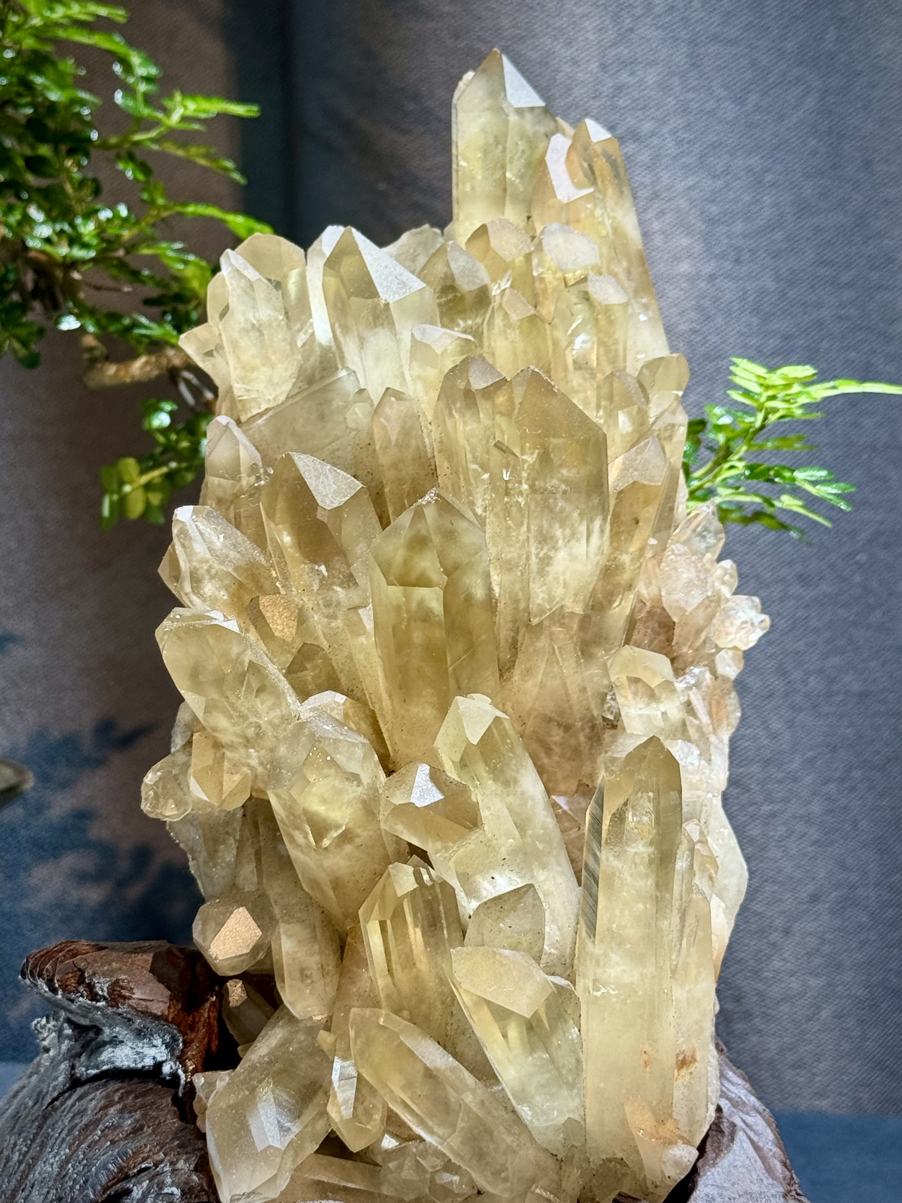 頂級招財黃水晶簇擺件 5215