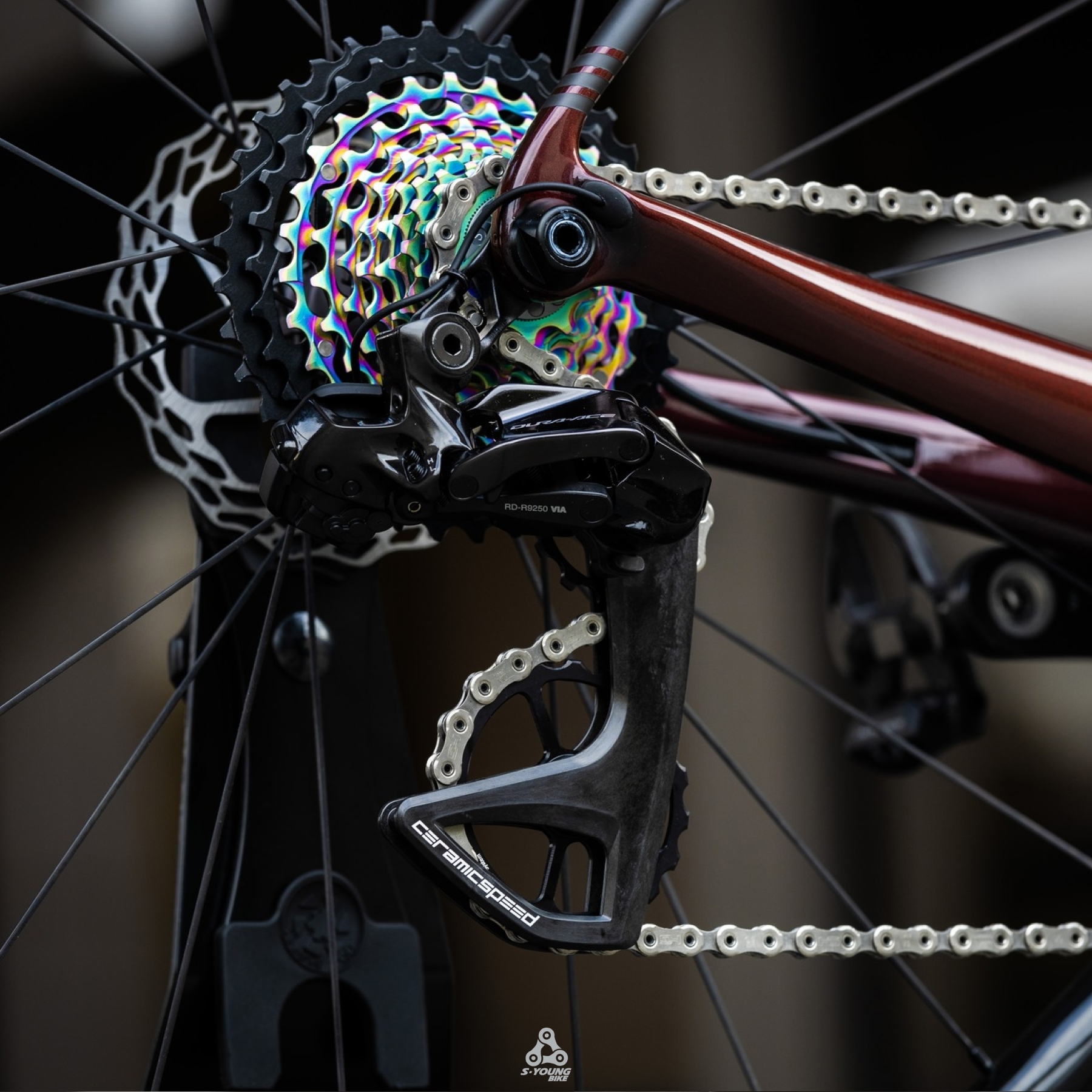 【Ceramicspeed】RS OSPW 加大導輪 / 五刀（共４色）