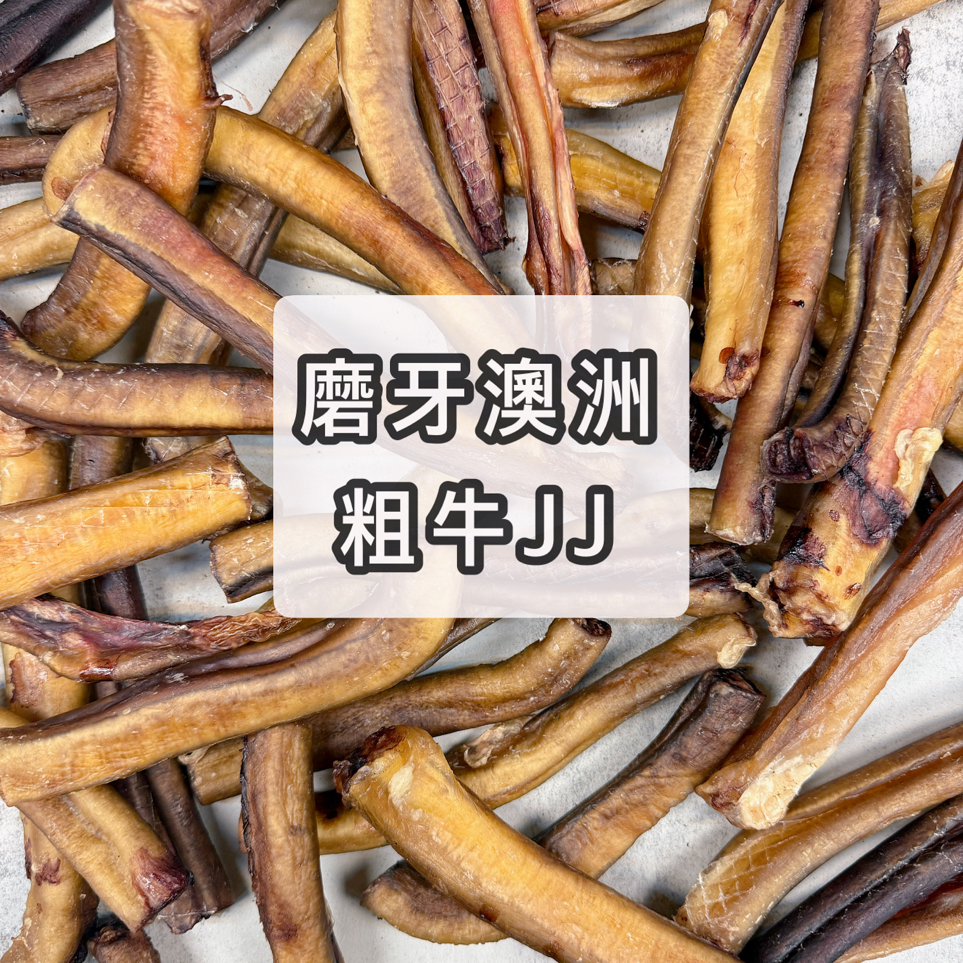 磨牙澳洲粗牛J |缺貨會自動升級大一個尺寸