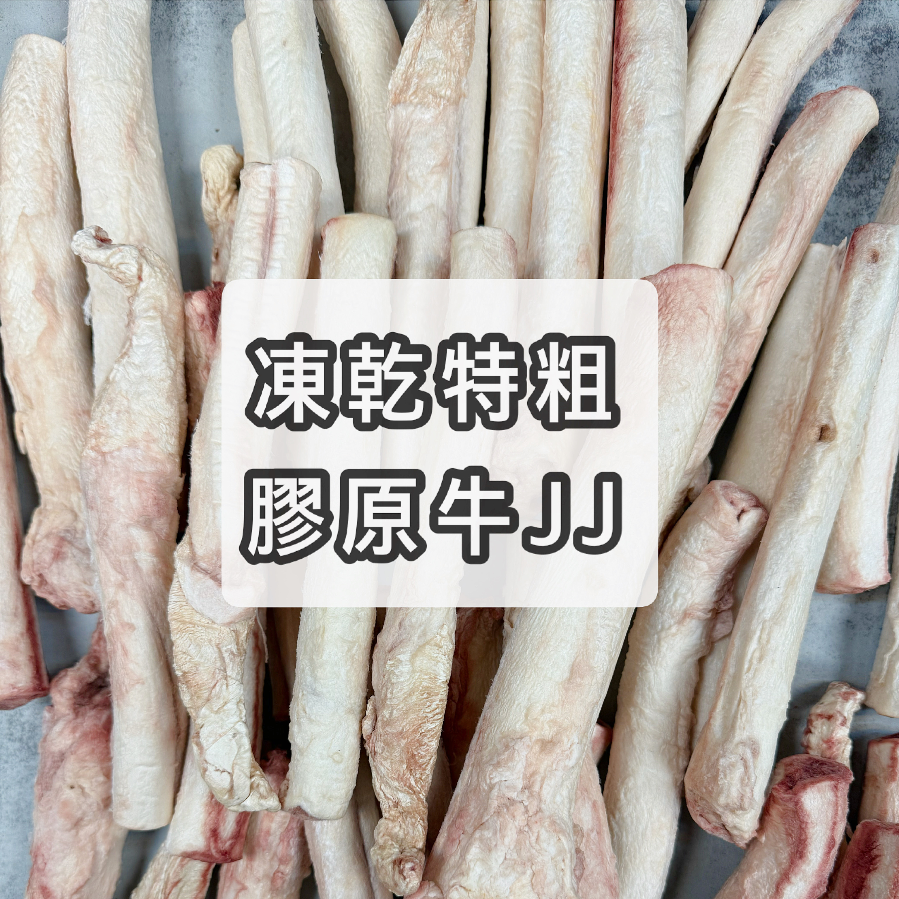 凍乾特粗膠原牛J|缺貨會自動升級大一個尺寸