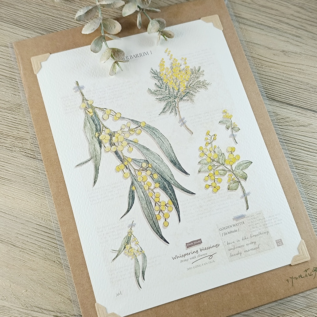 竹工凡花．呢喃祝福系列 裱版畫 金合歡/九重葛/射干