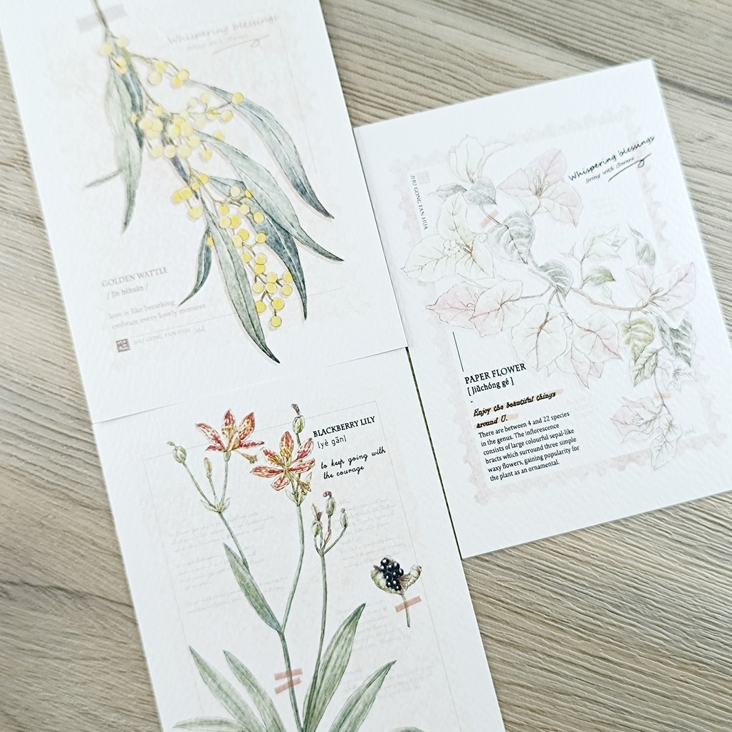 竹工凡花．呢喃祝福系列 插畫明信片 金合歡/九重葛/射干