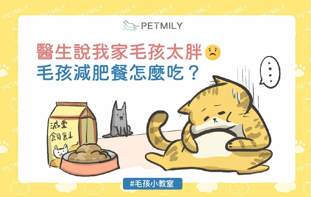 毛孩減肥餐封面