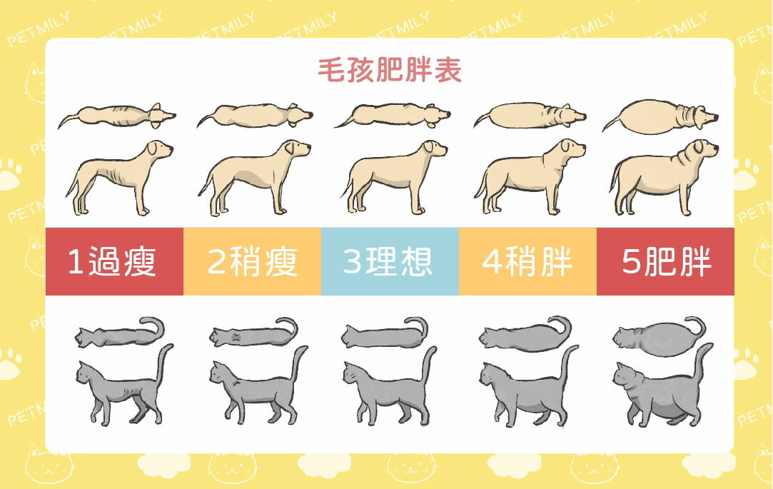 毛孩肥胖表