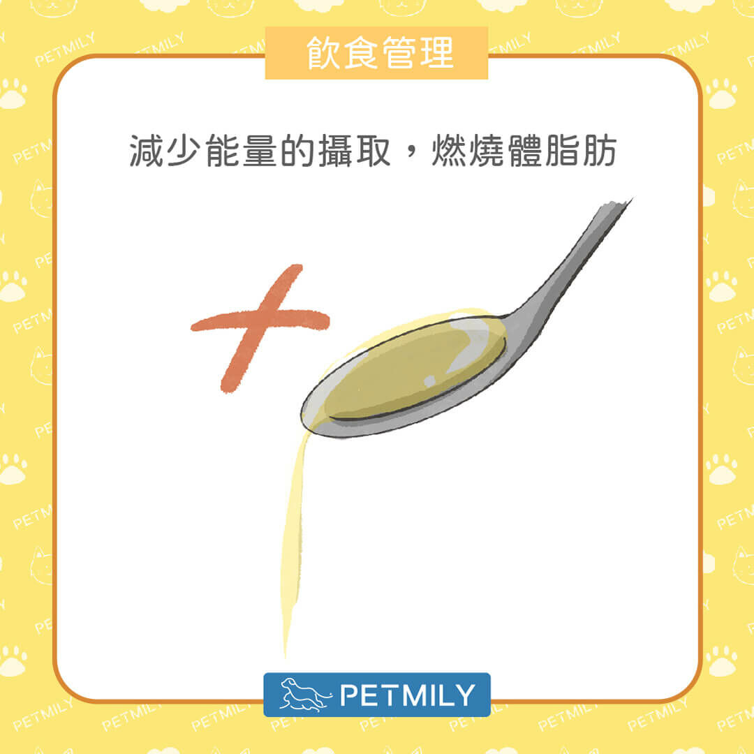 減少能量攝取