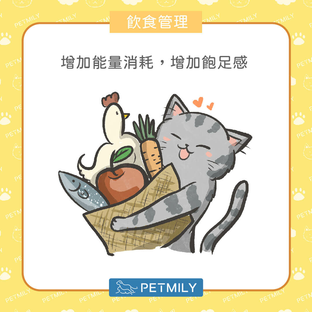增加飽足感