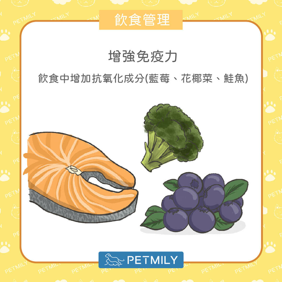 抗氧化食物
