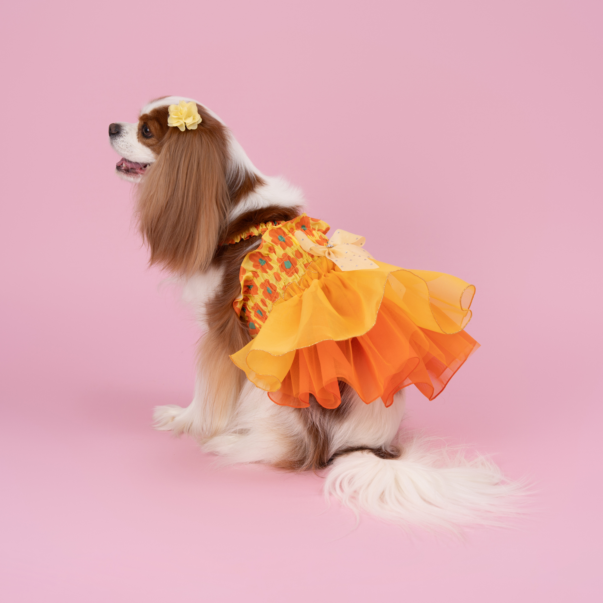 Konanmoko x FanCpet Flower 'Bom Bom' Dress - Yellow/Orange