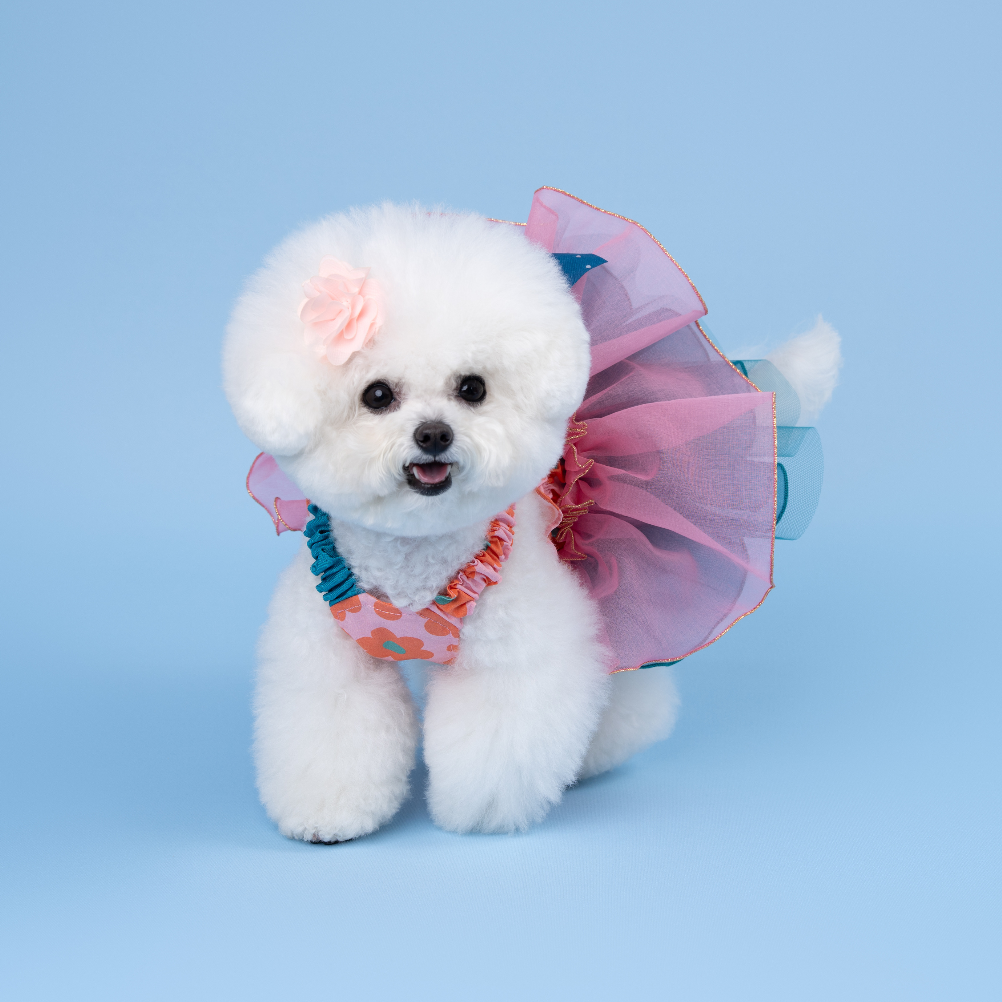 Konanmoko x FanCpet Flower 'Bom Bom' Dress - Pink/Blue