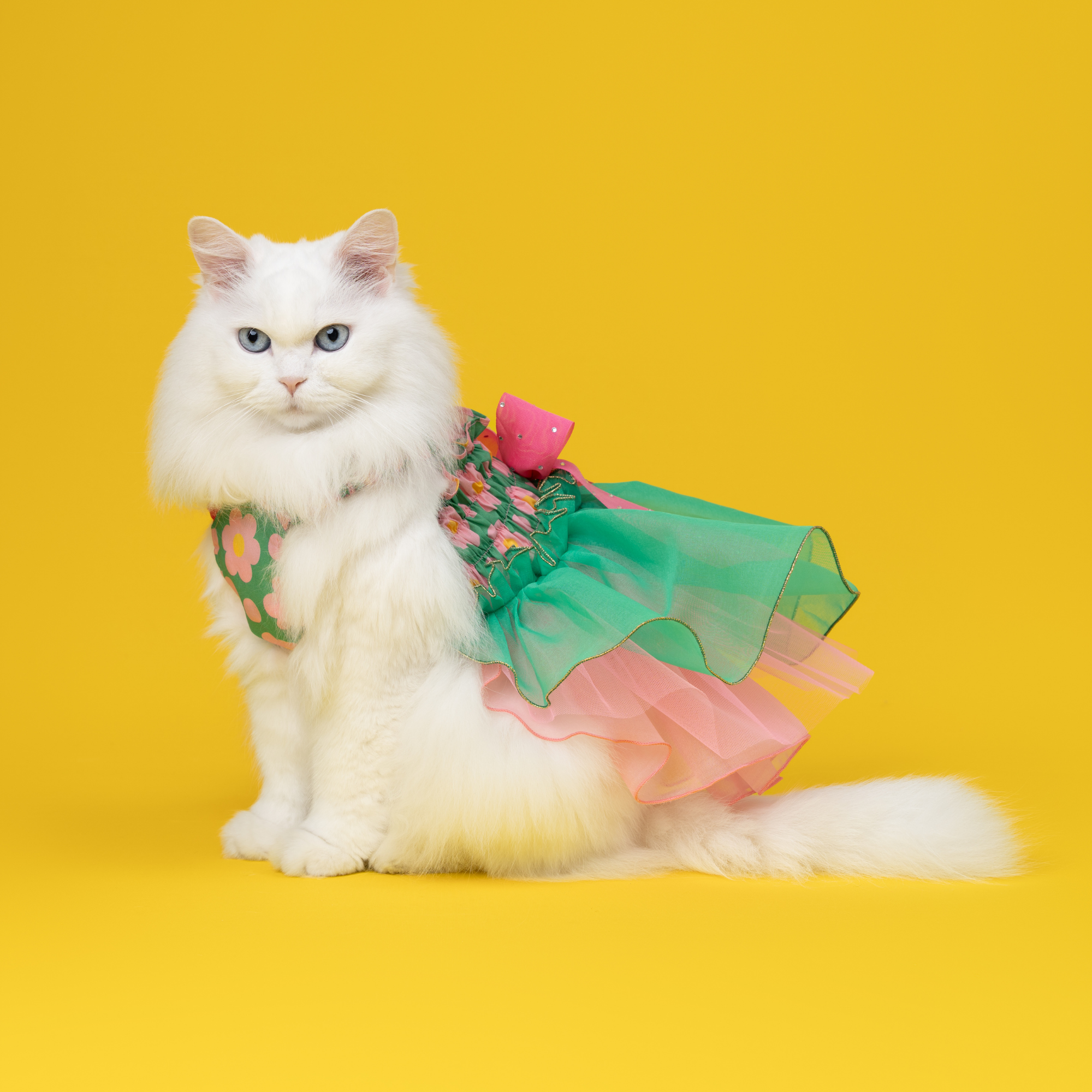 Konanmoko x FanCpet Flower 'Bom Bom' Dress - Green/Pink