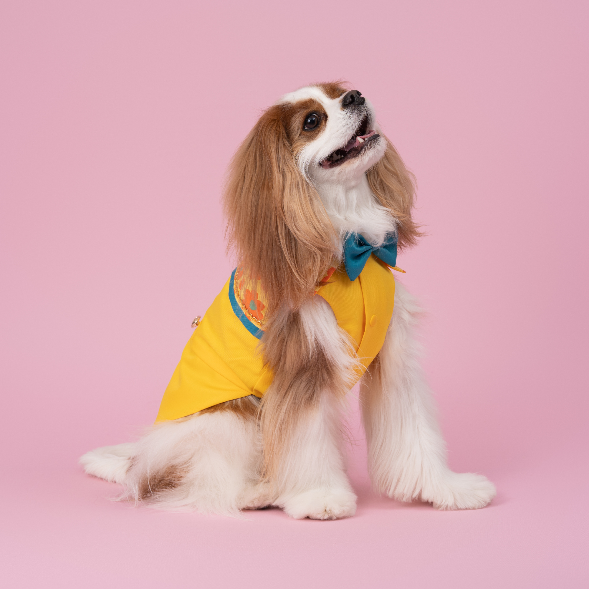 Konanmoko x FanCpet Flower 'Bom Bom' Vest - Yellow/Orange