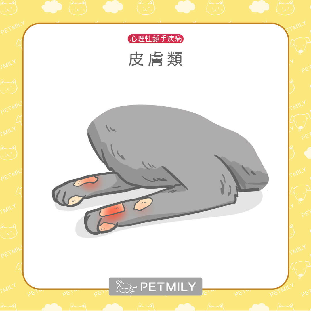 皮膚（ALD））