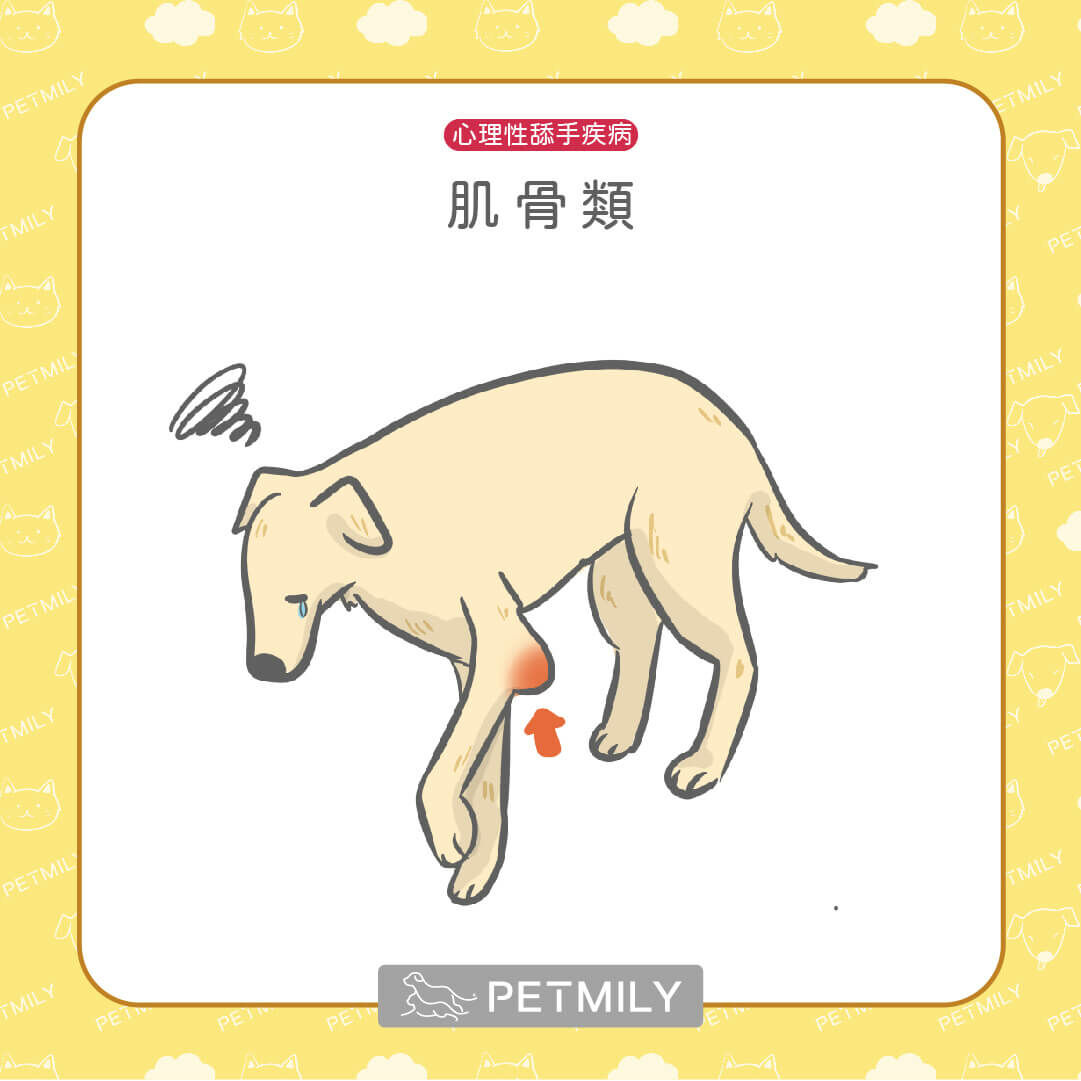 肌骨類（ALG）