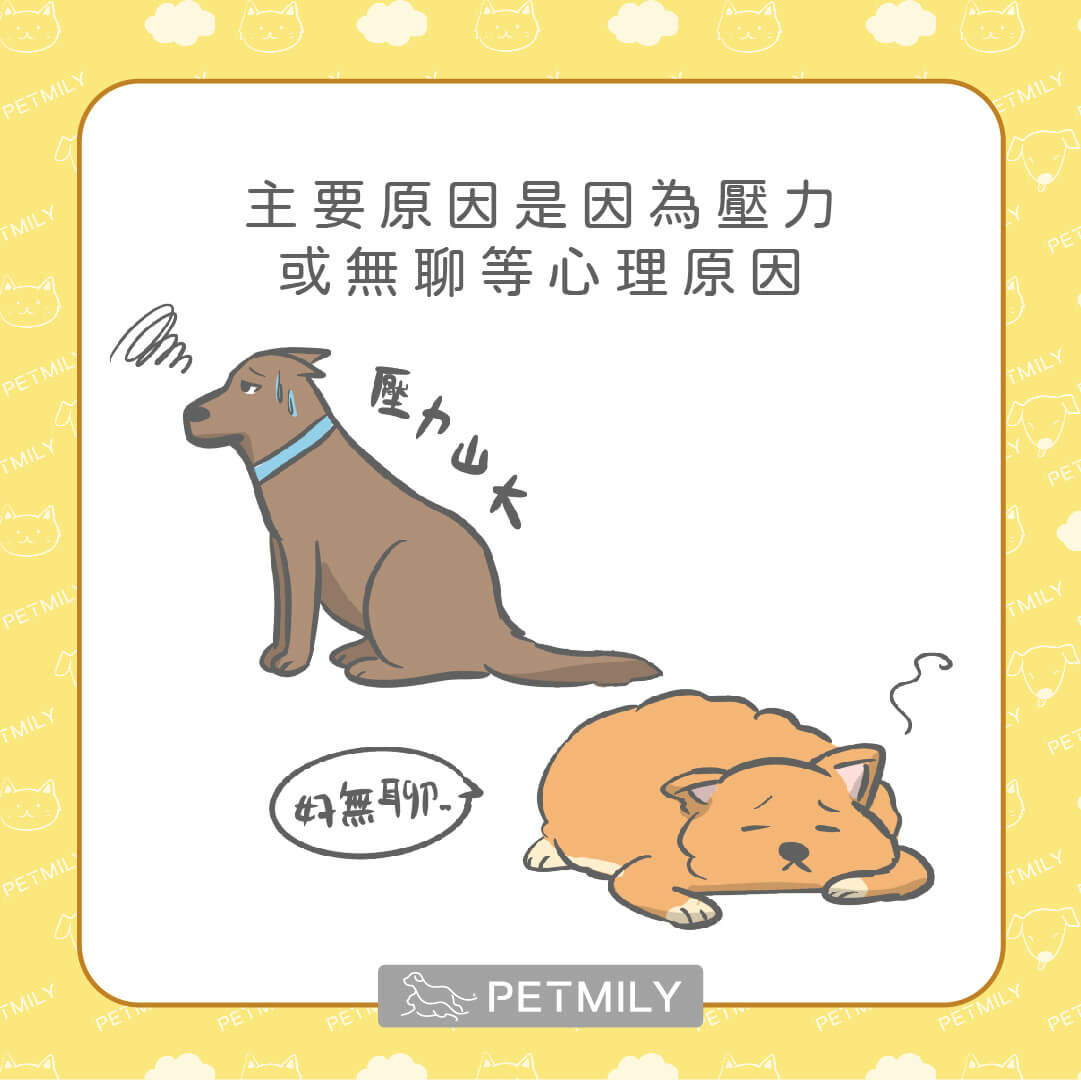 狗狗因無聊造成心理性舔腳手問題