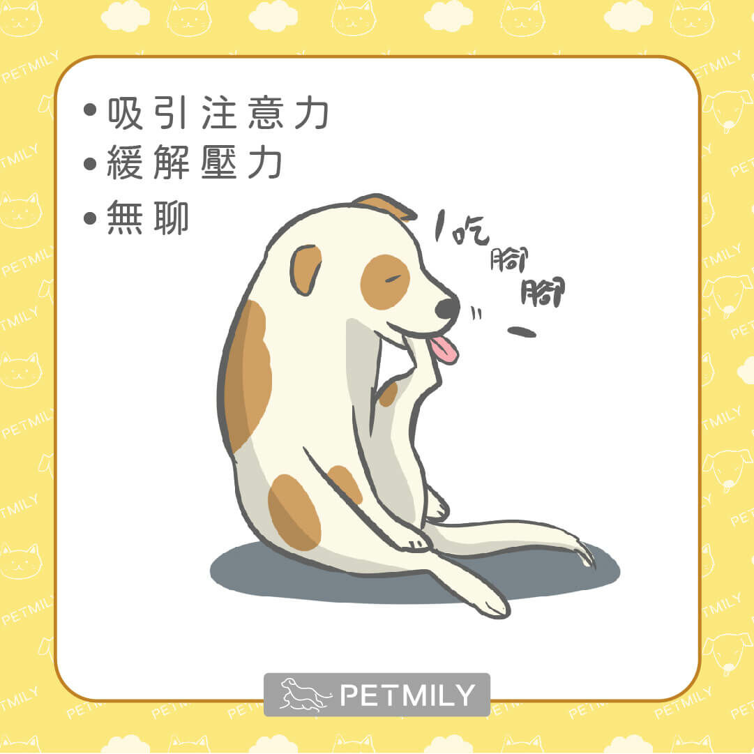 為什麼狗狗會舔腳手