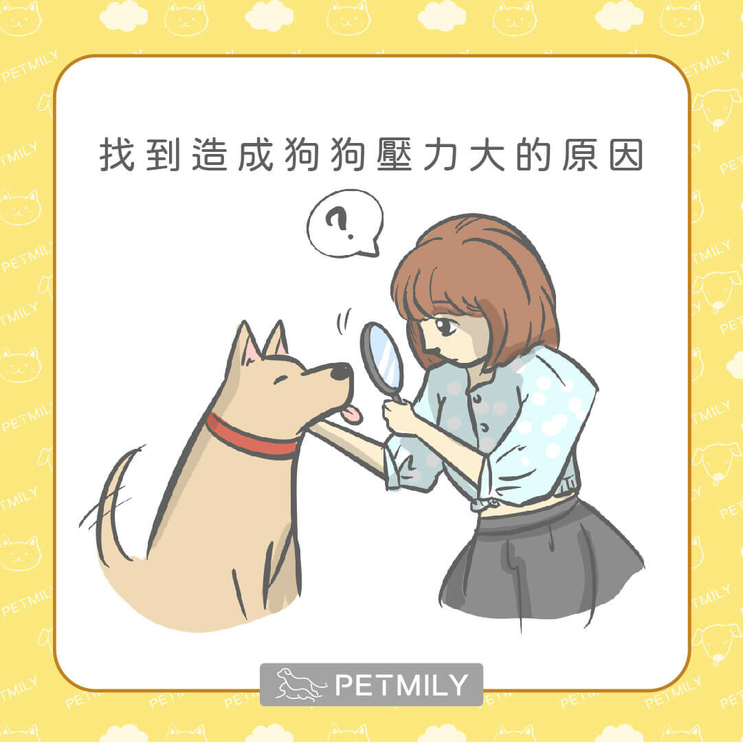 飼主尋找狗狗壓力大的原因