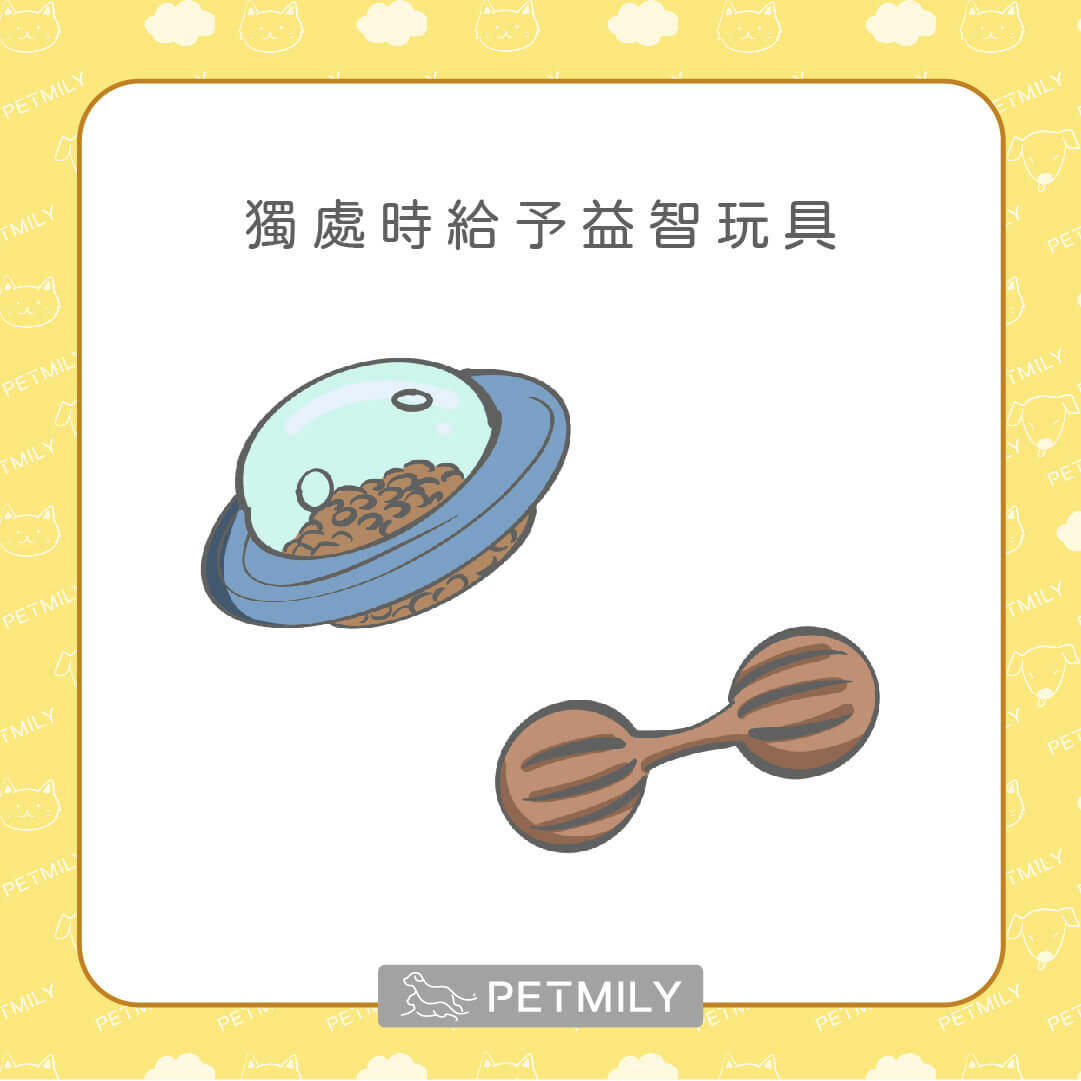 狗狗獨處時給益智玩具