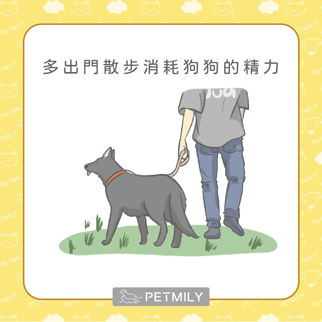 多帶狗狗出門散步消耗精力
