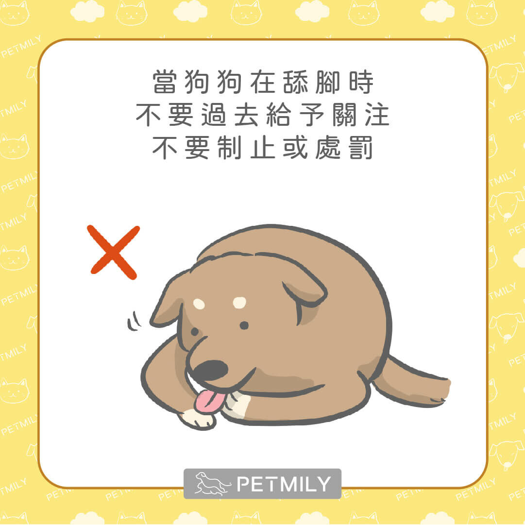 狗狗舔腳手時不要給予關注和責罰
